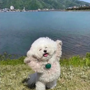 Meet your Posher, Quang